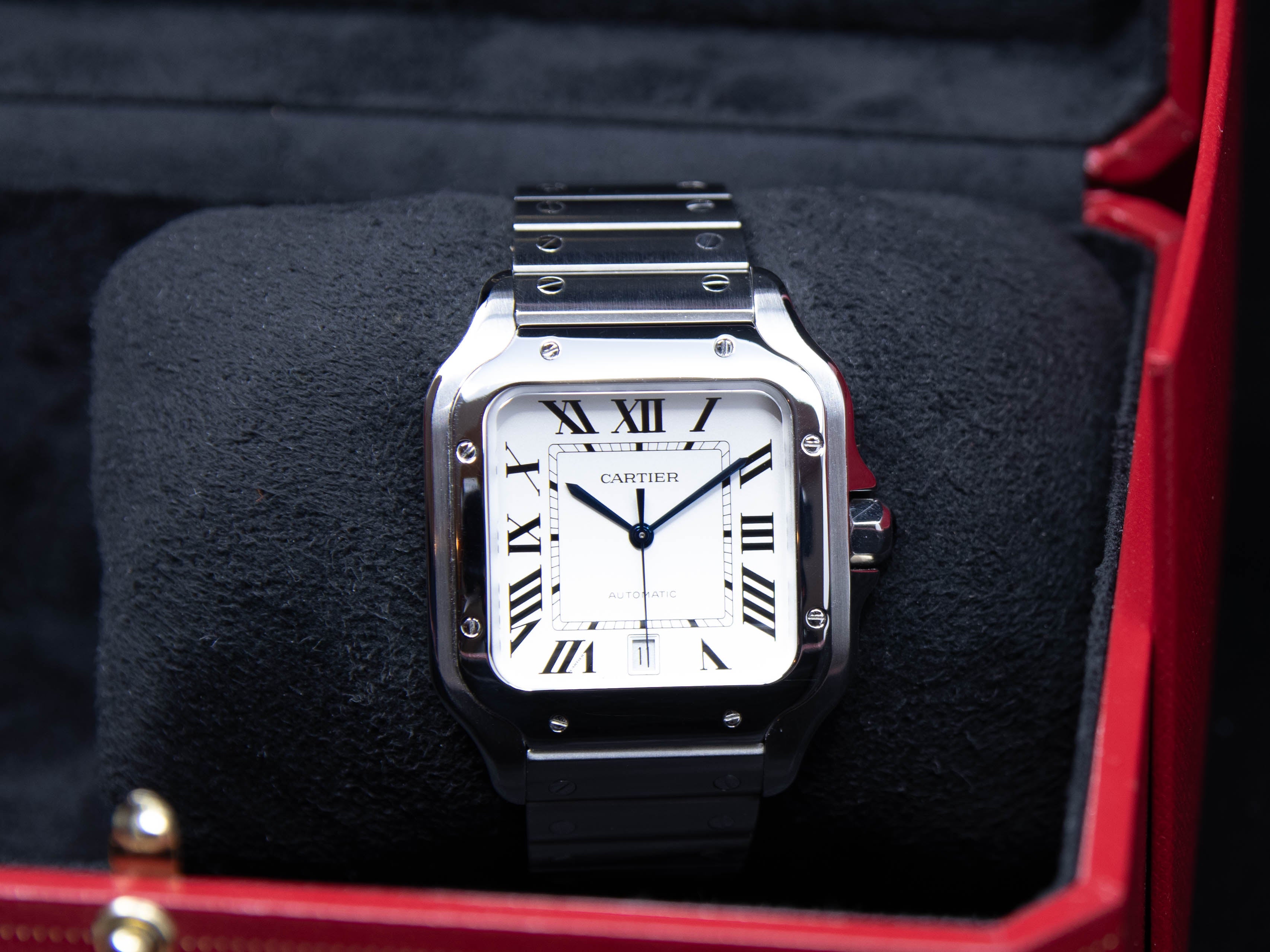 Santos Large Stainless Steel 2024 ref.WSSA0018