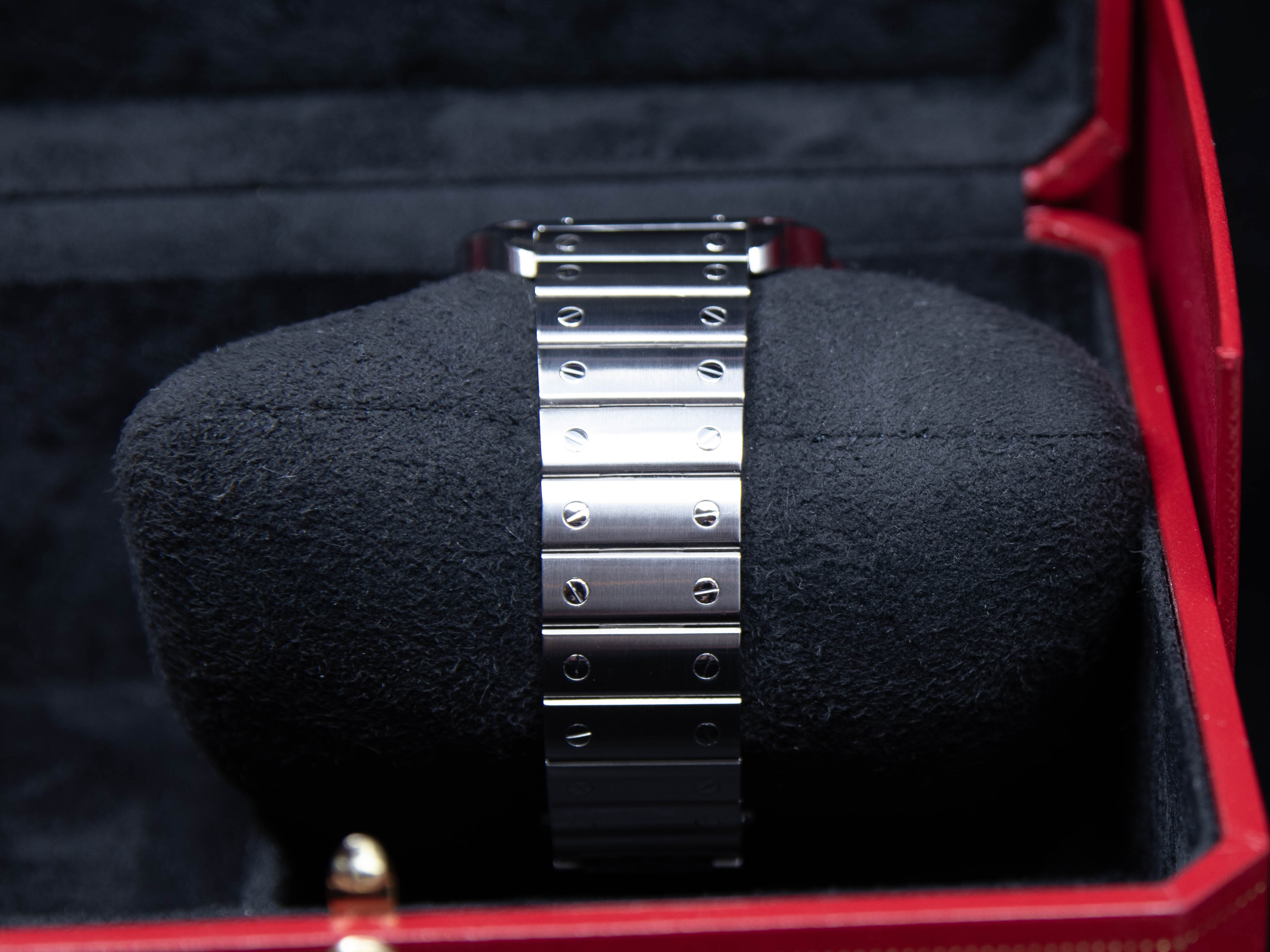 Santos Large Stainless Steel 2024 ref.WSSA0018