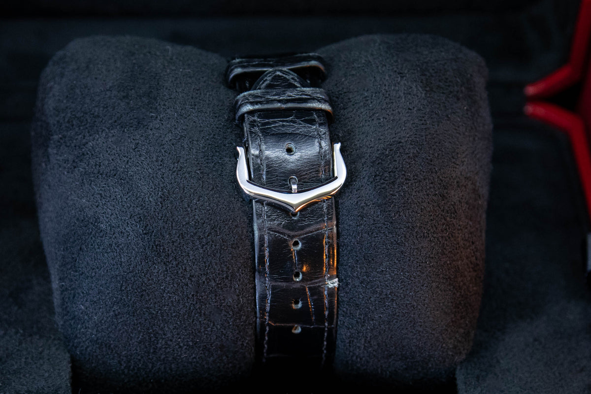 RONDE MUST 36MM ref.WSRN0031